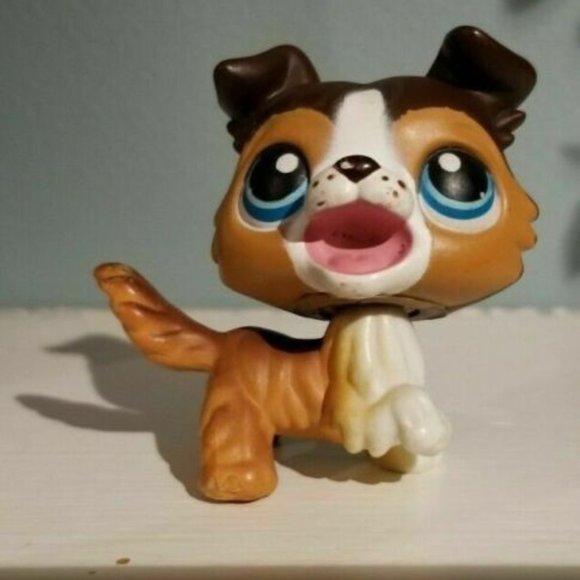 ❤️LITTLEST PET SHOP TALENTED Pets & Circus Tricks n' Talent Show Collie Dog #237 - Picture 4 of 6